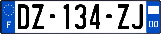 DZ-134-ZJ