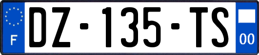 DZ-135-TS