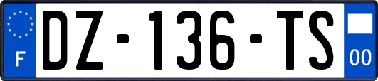 DZ-136-TS