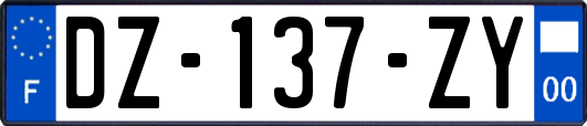 DZ-137-ZY