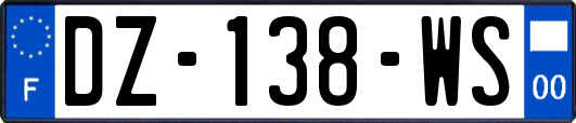 DZ-138-WS