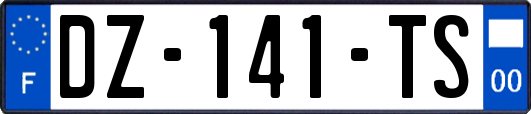 DZ-141-TS