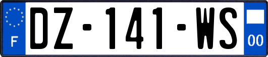 DZ-141-WS