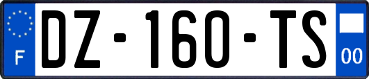 DZ-160-TS