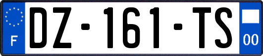 DZ-161-TS