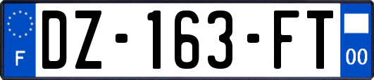 DZ-163-FT
