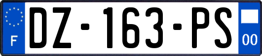 DZ-163-PS