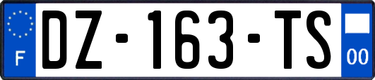 DZ-163-TS