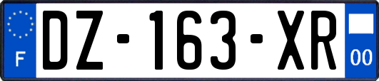 DZ-163-XR