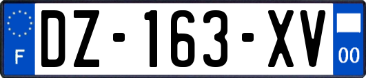 DZ-163-XV