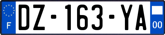 DZ-163-YA