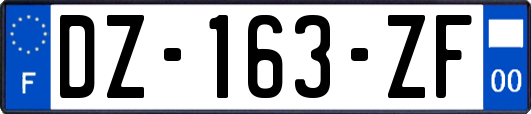 DZ-163-ZF