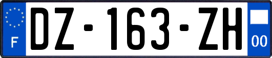 DZ-163-ZH