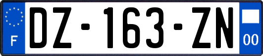 DZ-163-ZN