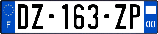 DZ-163-ZP