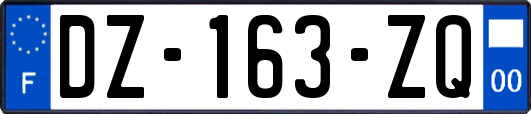 DZ-163-ZQ