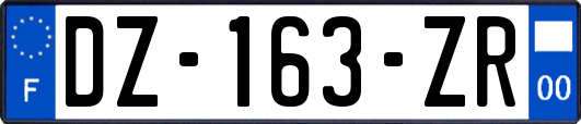 DZ-163-ZR