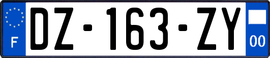 DZ-163-ZY