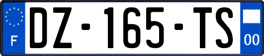 DZ-165-TS