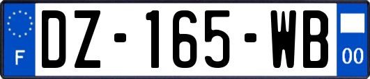 DZ-165-WB