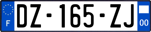 DZ-165-ZJ