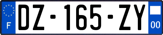 DZ-165-ZY