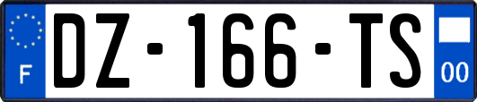 DZ-166-TS