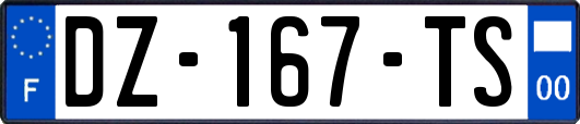 DZ-167-TS