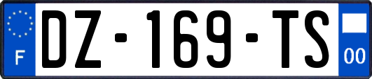 DZ-169-TS