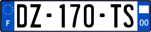 DZ-170-TS