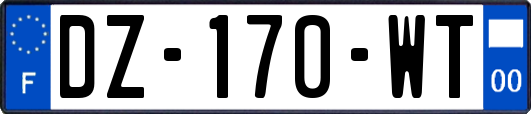 DZ-170-WT