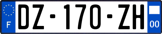 DZ-170-ZH