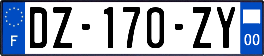 DZ-170-ZY