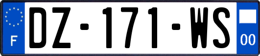 DZ-171-WS