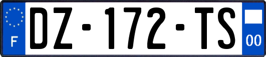 DZ-172-TS