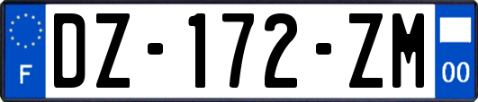 DZ-172-ZM