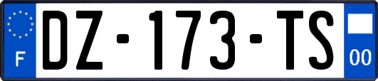 DZ-173-TS