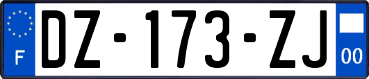 DZ-173-ZJ