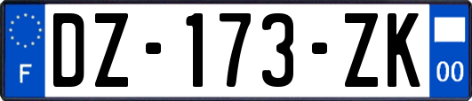 DZ-173-ZK