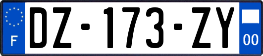 DZ-173-ZY