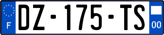 DZ-175-TS