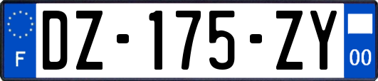 DZ-175-ZY