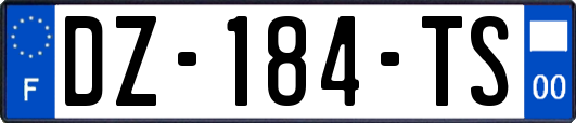 DZ-184-TS