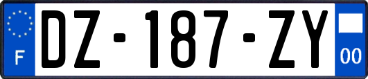 DZ-187-ZY