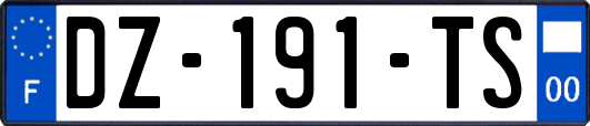 DZ-191-TS