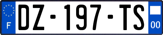 DZ-197-TS