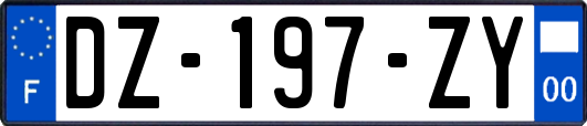 DZ-197-ZY