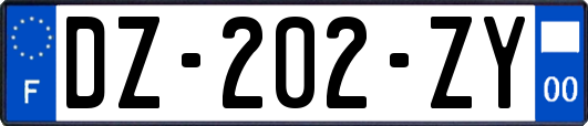 DZ-202-ZY