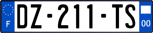 DZ-211-TS