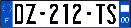 DZ-212-TS